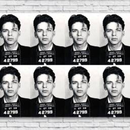 Frank Sinatra Mugshot 1938 Fine Art Poster Print Wall Home Decor Joe Rogan Podcast Rolled Canvas Vinyl Decal Photo Large Big - thumbnail 2