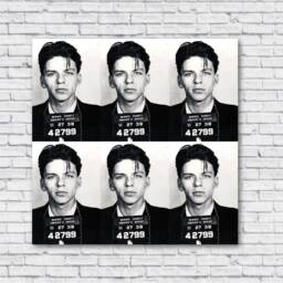 Frank Sinatra Mugshot 1938 Fine Art Poster Print Wall Home Decor Joe Rogan Podcast Rolled Canvas Vinyl Decal Photo Large Big