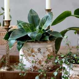 Flower Pattern Plant Pot Cover - Gold & White Floral Print French Shabby Chic Weathered Vintage Style