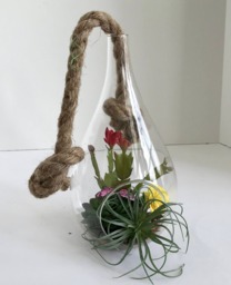 Hanging Glass Vase With Artificial Grass Succulents, Flowering Cactus, Yellow Flowers & Purple Butterfly - thumbnail 1