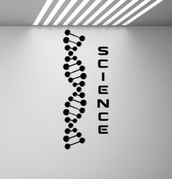 Science Wall Decal Classroom Sign Dna School Poster Education Quote Gift Vinyl Sticker Class Room Decor Chemical Art Print G706 - thumbnail 1