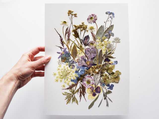 Pressed Flower Art Wildflower Herbarium, Botanical Wall Decor - 9.5x12.5 - image 1
