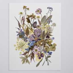 Pressed Flower Art Wildflower Herbarium, Botanical Wall Decor - 9.5x12.5 - thumbnail 2