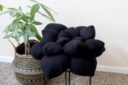 Black Succulent Pillow - Throw Pillow, Accent Cactus Home Decor, Pillows - thumbnail 1