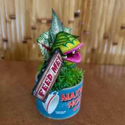 Little Shop Of Horrors Audrey 2 Coffee Can Sculpture 6 Inches Tall Feed Me Seymour Venus Flytrap For Tiki Oasis Halloween - thumbnail 2