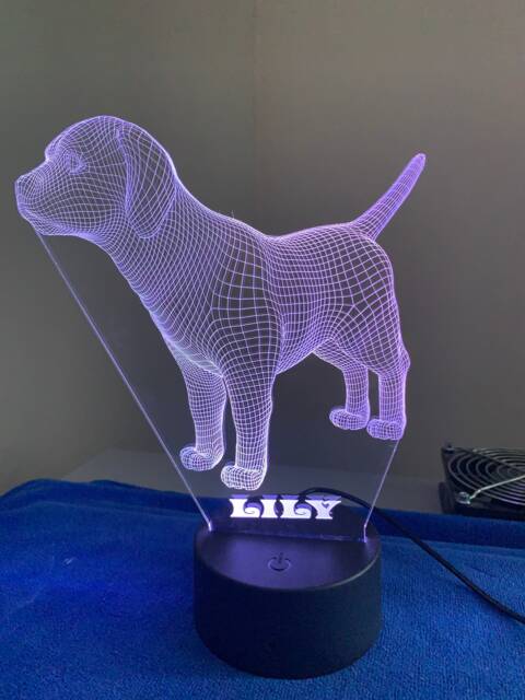 Personalized Puppy 3D Illusion Night Light, Bluetooth App Control - image 1