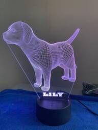 Personalized Puppy 3D Illusion Night Light, Bluetooth App Control - thumbnail 1