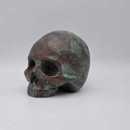 Solid Bronze Patina Mini Human Skull Ornament. Small Replica Plaster Of Paris Skull - thumbnail 2