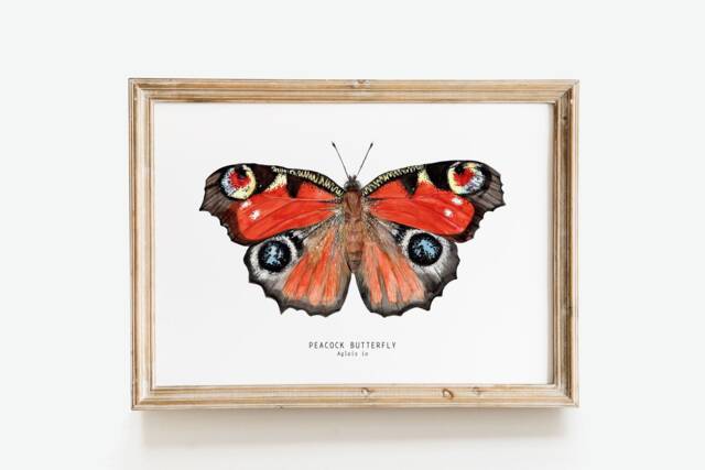 Peacock Butterfly Watercolor Art Print - Aglais Io - European Butterflies Poster Gift Living Room Wall Fine Insect Themed Home D??cor - image 1