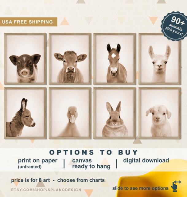 Baby Farm Animal Photos, Animals For Room, Nursery Decor, Barnyard Art Prints, Farmhouse Decor Gifts - image 1