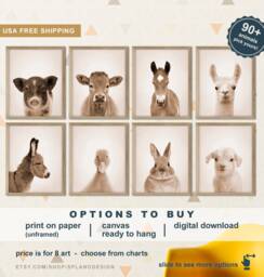 Baby Farm Animal Photos, Animals For Room, Nursery Decor, Barnyard Art Prints, Farmhouse Decor Gifts - thumbnail 1