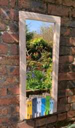 Funckles New Design Driftwood Mirror Introductory Price - thumbnail 1