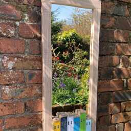Funckles New Design Driftwood Mirror Introductory Price - thumbnail 2