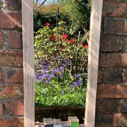 Funckles New Design Driftwood Mirror Introductory Price - thumbnail 4