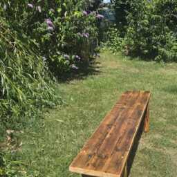 Wide Rustic Bench Seat - thumbnail 3