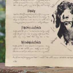 Antique Styled Dog Standard - Smooth-Haired Dachshund Poster Vintage Gift - thumbnail 3