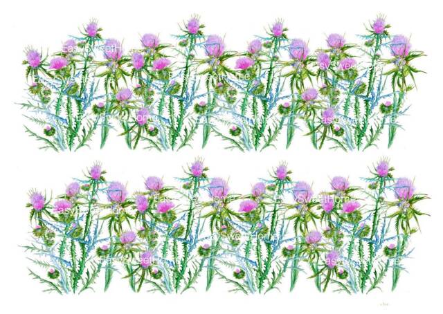 Wall Decals Thistle 2-Set, Home D??cor, Removable Interior Decals, Hand Painted For Tiles, Walls, Furniture By Easysweethome - image 1