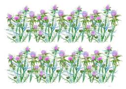 Wall Decals Thistle 2-Set, Home D??cor, Removable Interior Decals, Hand Painted For Tiles, Walls, Furniture By Easysweethome