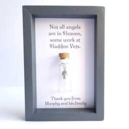 Thank You Gift For Vets Personalised Not All Angels Are in Heaven Keepsake Frame - thumbnail 2