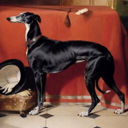 Vintage Greyhound Print Edwin Henry Landseer, Black Dog Art - thumbnail 3