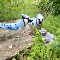 Mr. Or Mrs. Blue Jay & Family, Needle Felted Birds Babies, Wool Sculpture - thumbnail 4