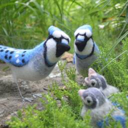 Mr. Or Mrs. Blue Jay & Family, Needle Felted Birds Babies, Wool Sculpture
