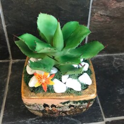 Artificial Green Grass Succulent Planter in A Satsuma Bowl With Geishas - thumbnail 3