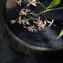 Pressed Flower Frame - Round Framed Wall Decor 8 - thumbnail 4