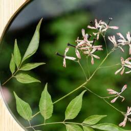 Pressed Flower Frame - Round Framed Wall Decor 8 - thumbnail 2