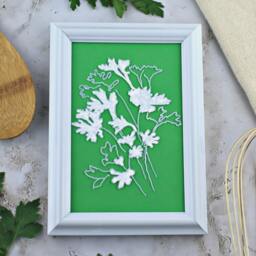 Framed Parsley Botanical Line Drawing. Handmade Wall Art Gift For Chef, Cook Or Gardener. Green & White Boho Decor Dining Room - thumbnail 2