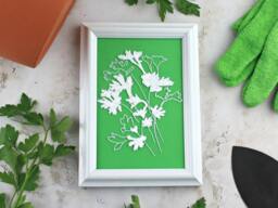 Framed Parsley Botanical Line Drawing. Handmade Wall Art Gift For Chef, Cook Or Gardener. Green & White Boho Decor Dining Room - thumbnail 1