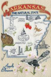 Arkansas State Pillow With Feather Insert - thumbnail 2