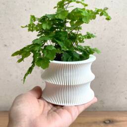 "Mid Century Modern ""Curvy White" - thumbnail 3