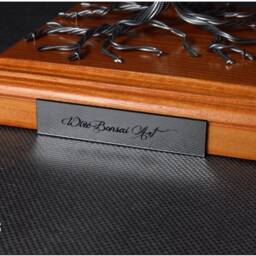 Wire Bonsai Tree - Home Decoration Positive Energy Engraved Dedication Steel 11Th Wedding Anniversary Of Immortality Zen - thumbnail 2