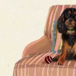 Black & Tan Cavalier King Charles Spaniel Print - Dogs On Chairs Collection 5x7/A5 A4 A3 - thumbnail 3