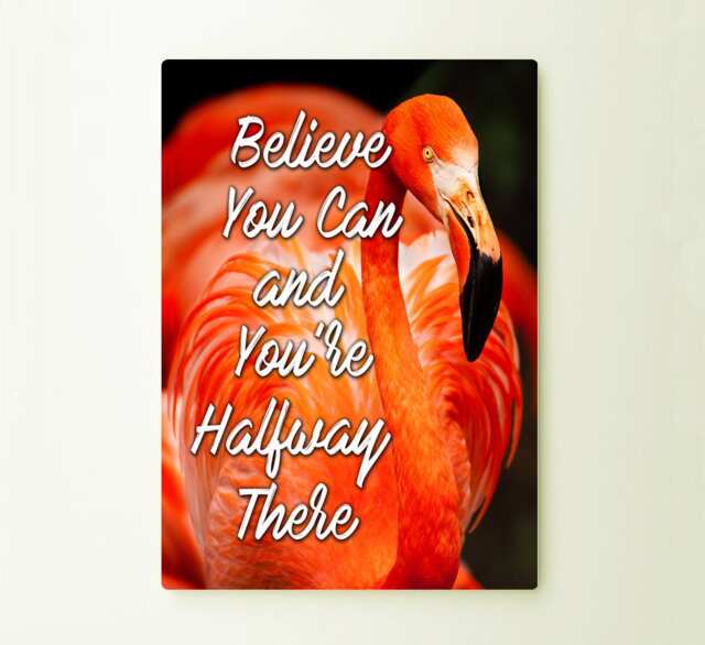 Believe You Can & Your Halfway Sign Art Typograhy Inspirational Quote Metal Wall Fine Prints, Outdoor Tin Customizable