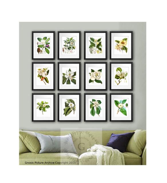 Magnolia Pictures Wall Decor Set Of 12 Unframed Flower Botanical Prints Living Room - image 1