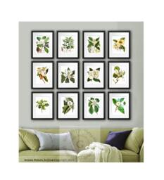 Magnolia Pictures Wall Decor Set Of 12 Unframed Flower Botanical Prints Living Room - thumbnail 1