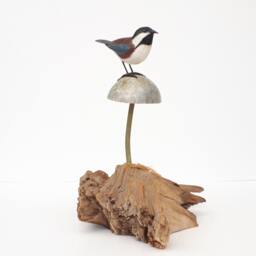 Boreal Chickadee On Soapstone Mushroom - thumbnail 3
