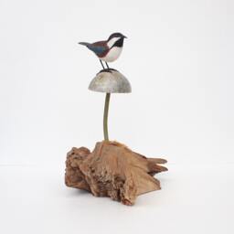 Boreal Chickadee On Soapstone Mushroom - thumbnail 4