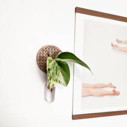 Wall Hanging Rattan Cane Circle Propagation Vase - thumbnail 3