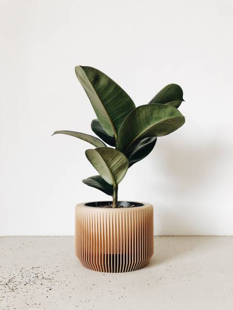 Indoor Wood Planter - Praha Perfect Gift For Plant Lovers - image 1