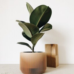 Indoor Wood Planter - Praha Perfect Gift For Plant Lovers - thumbnail 2