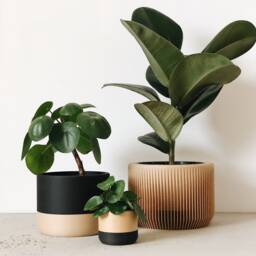 Indoor Wood Planter - Praha Perfect Gift For Plant Lovers - thumbnail 4