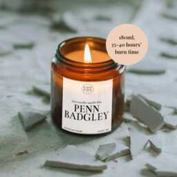 Smells Like Penn Badgley Candle, Luxury Soy Wax, Funny Gift For Her - thumbnail 3