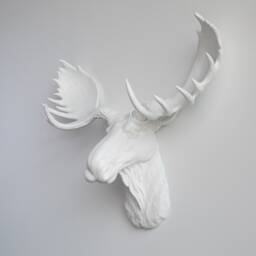 Faux Taxidermy Moose Head Wall Mount - Decor White M0101 - thumbnail 2