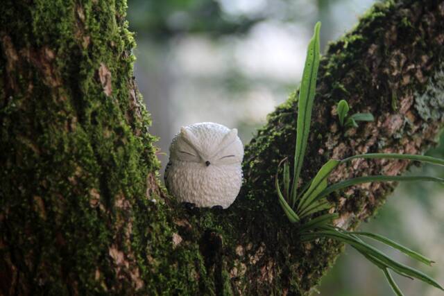 Miniature White Owl. Sleepy Resin Owl Statue. Closed Eye Sculpture Statue Totem Figure - image 1