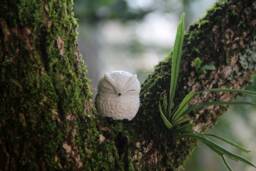 Miniature White Owl. Sleepy Resin Owl Statue. Closed Eye Sculpture Statue Totem Figure - thumbnail 1
