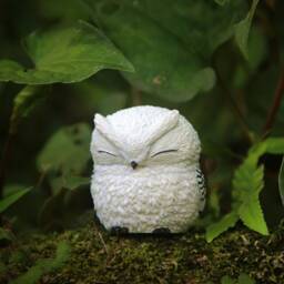 Miniature White Owl. Sleepy Resin Owl Statue. Closed Eye Sculpture Statue Totem Figure - thumbnail 3