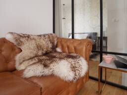 Original Brown Mouflon Genuine Natural Sheepskin Rugs Exclusive Rug Gray Carpet Outdoor